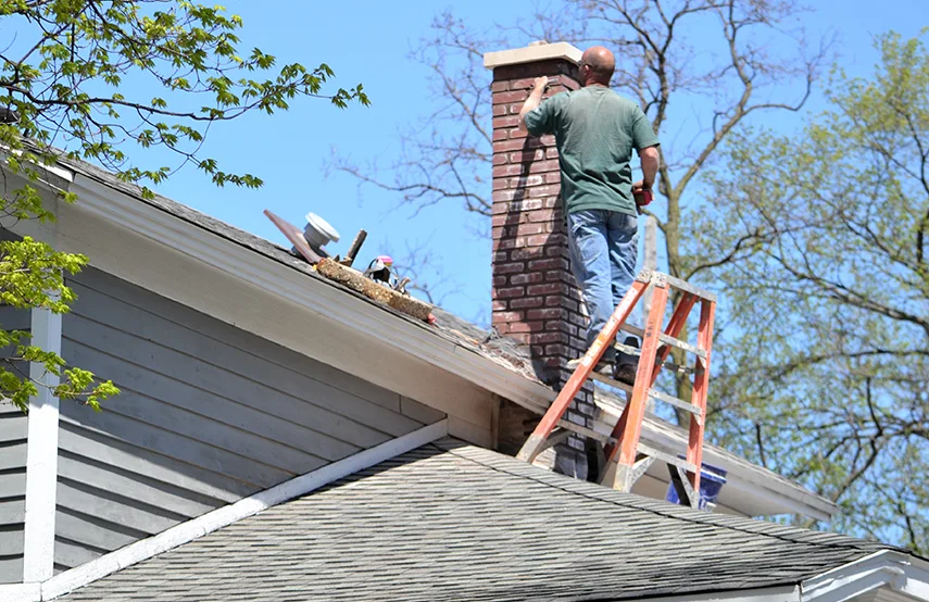 Chimney & Fireplace Inspections Services in Bountiful, UT